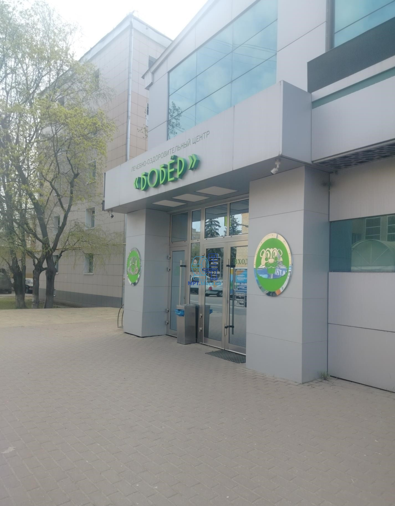 Бобер - основное изображение