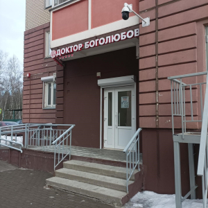 Доктор Боголюбов - изображение 1