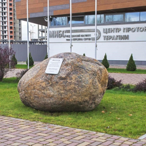 Медицинский институт им. Березина Сергея - изображение 3